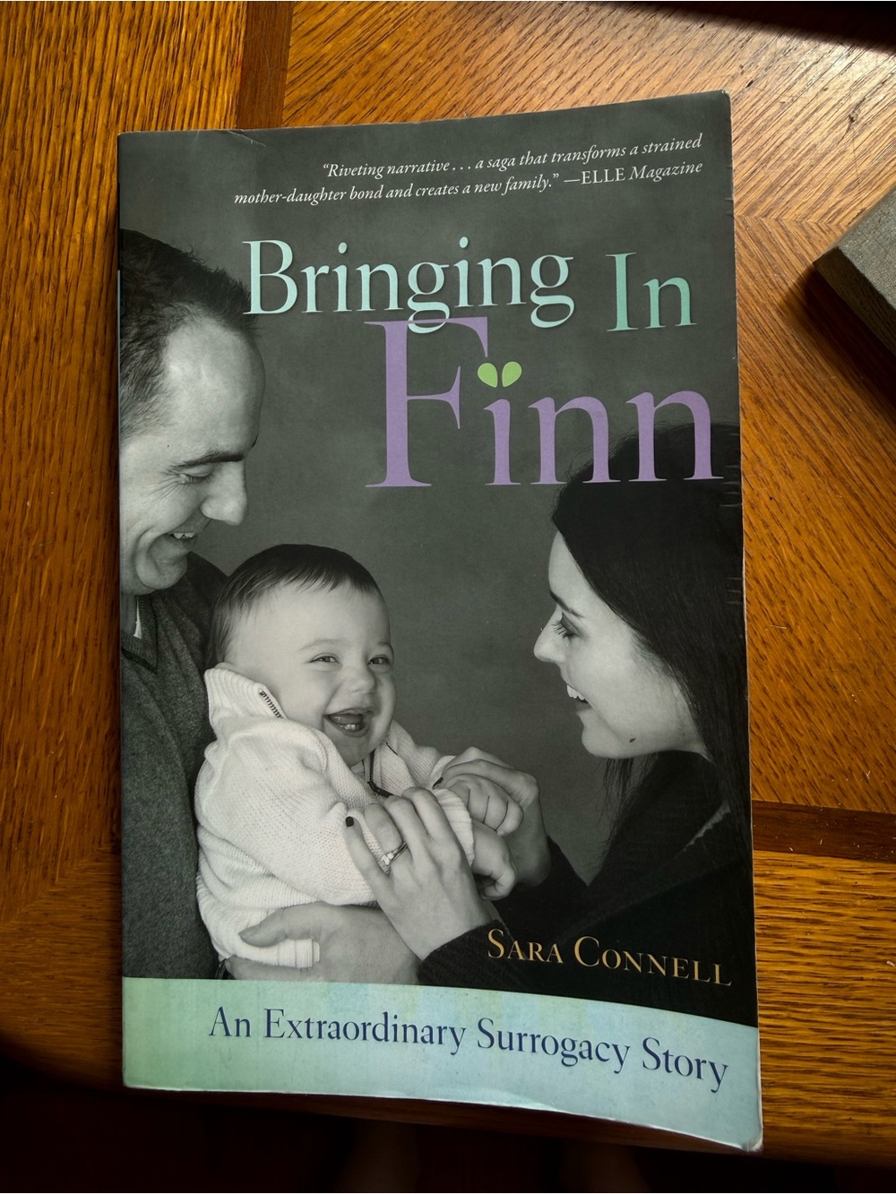 Bringing In Finn — Book (Purple & Teal Cover)